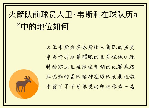 火箭队前球员大卫·韦斯利在球队历史中的地位如何